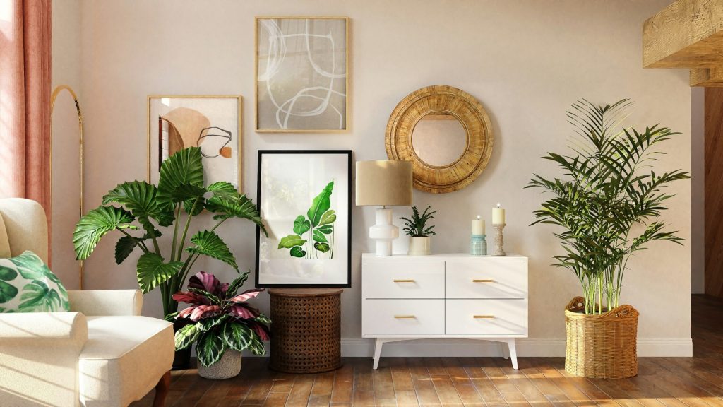 Large Leaf Floor Plants arranged in our living room with mirrors and shelves and dressers