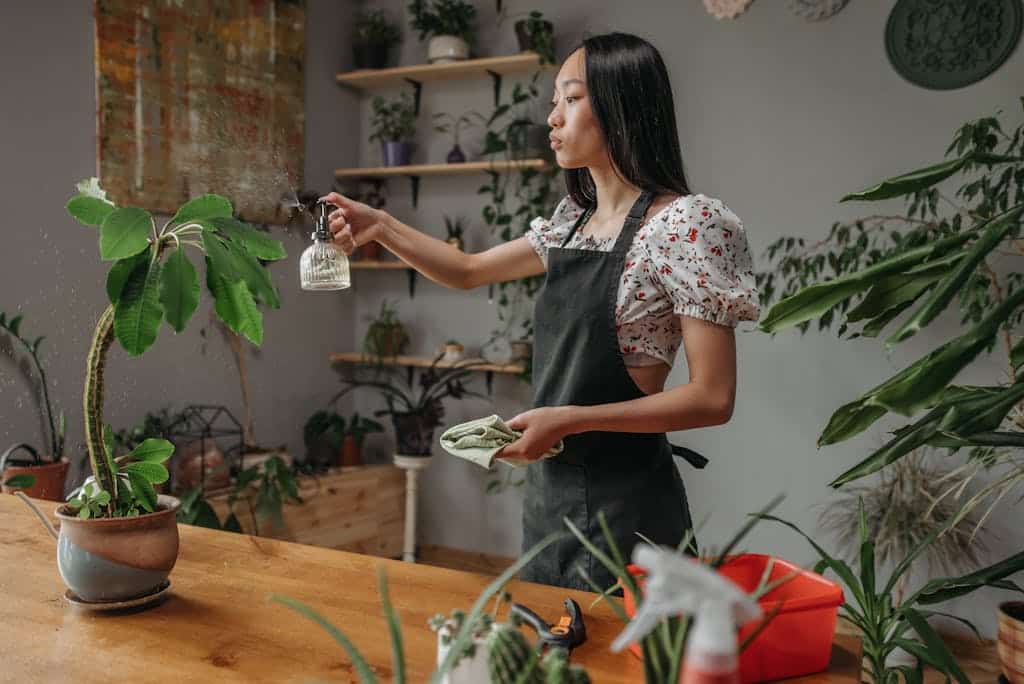 Free stock photo of apron, arrangement, care for houseplants