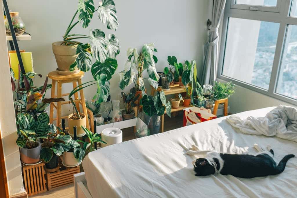 Green Indoor Plants Beside the Bed