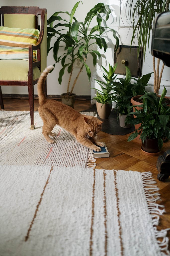 Orange Tabby Cat Lying around indoor plants