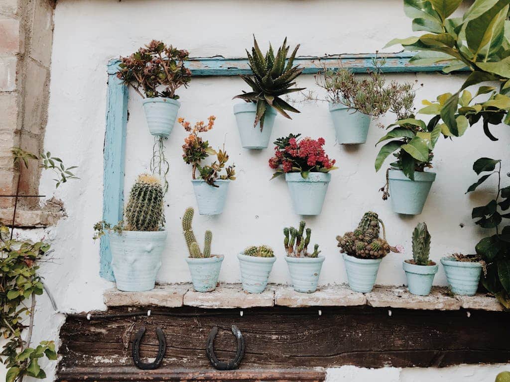 houseplants on wall