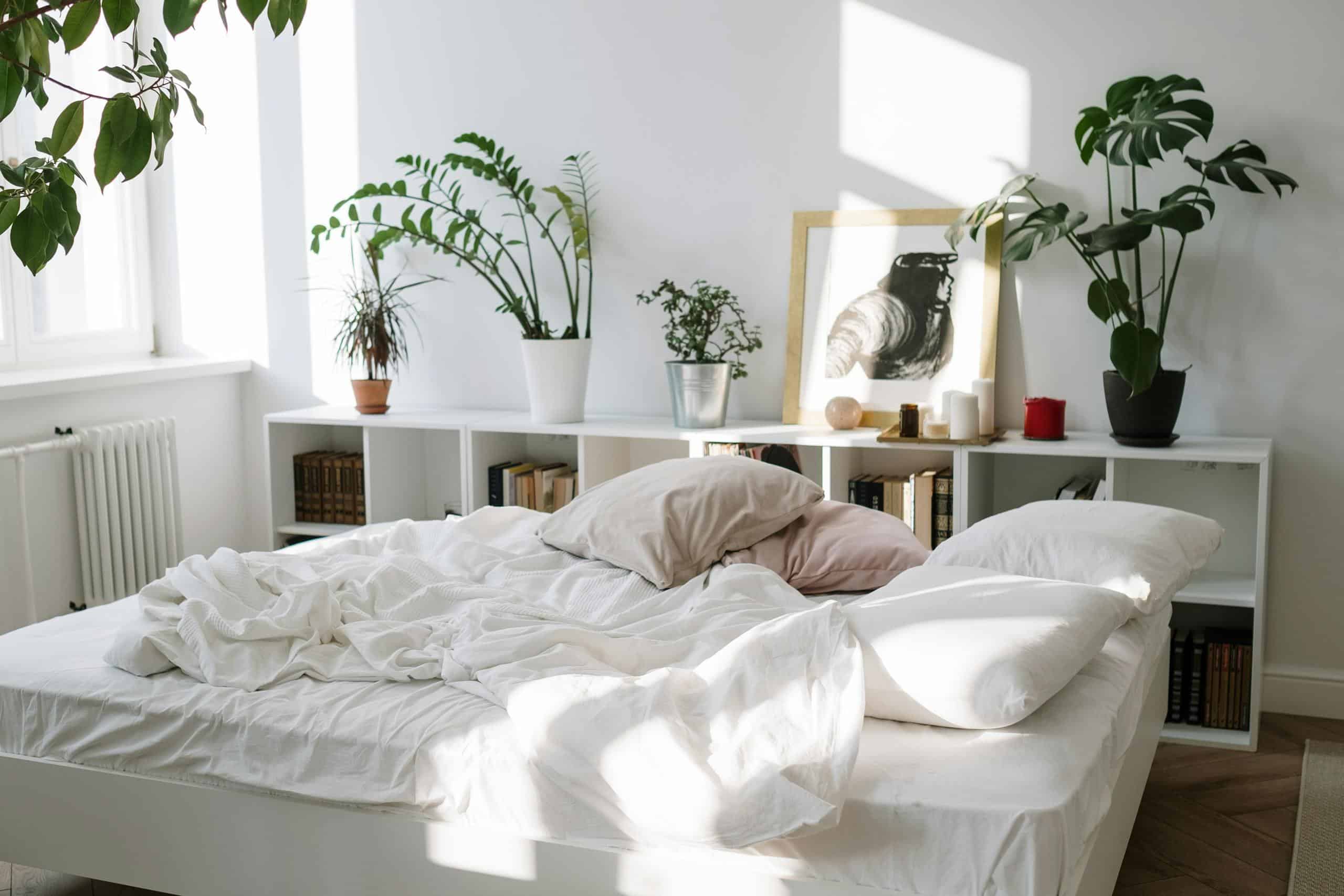 White Pillows on the Bed next to houseplants