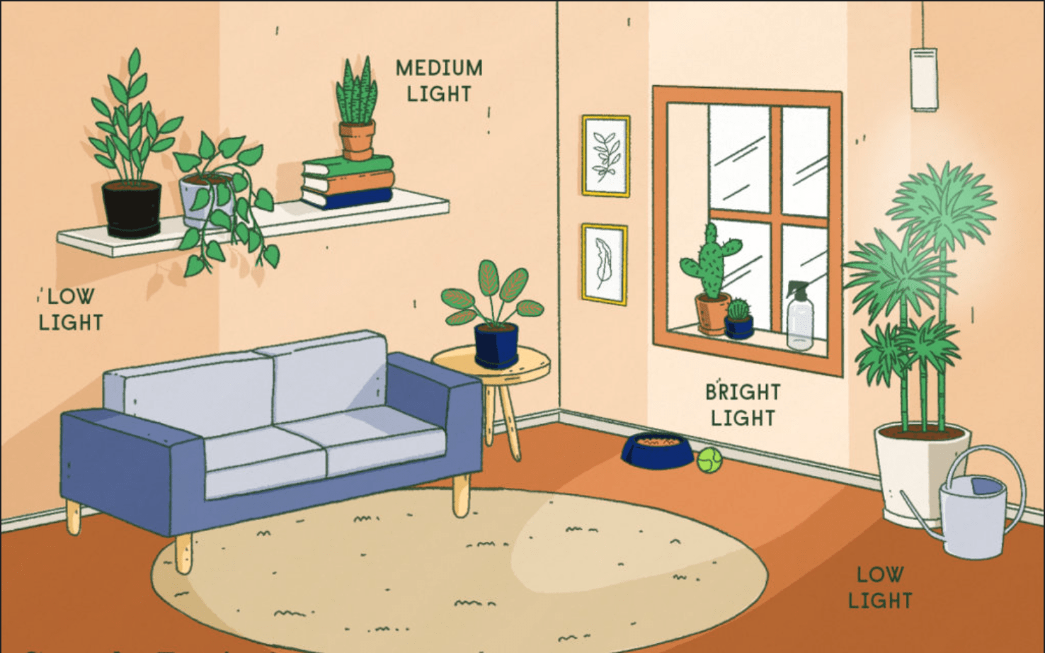 plant placements guide