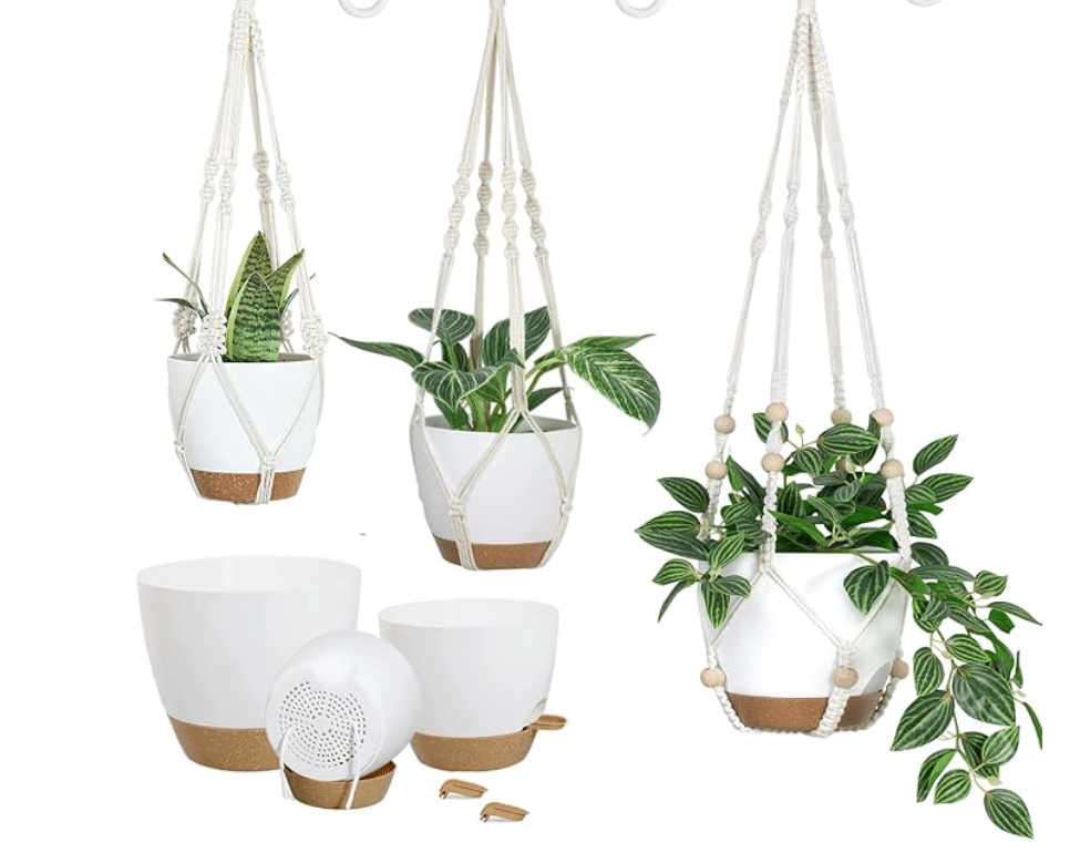 hanging planter with macrame hangers