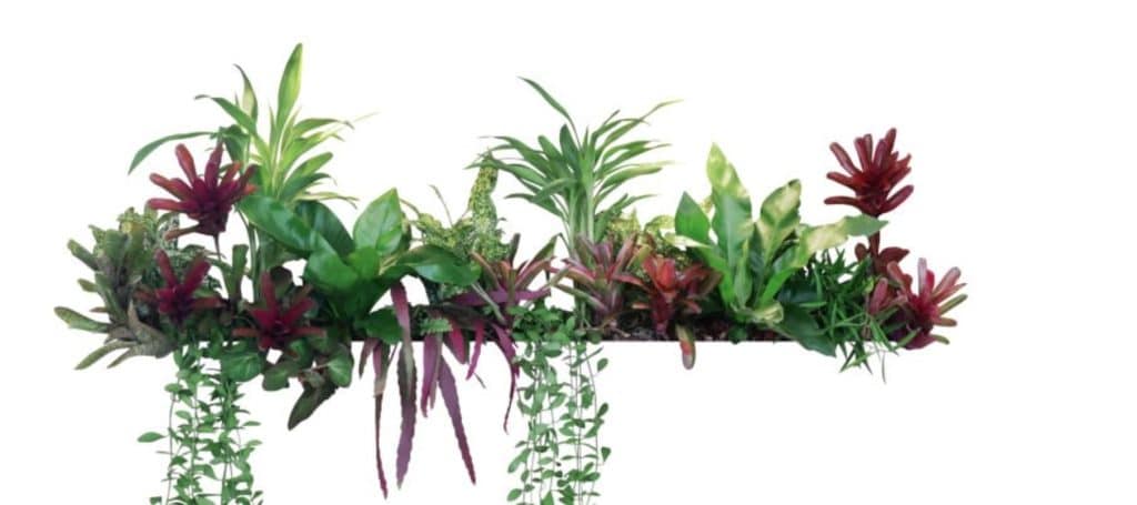 Hanging shelf made of pink houseplants