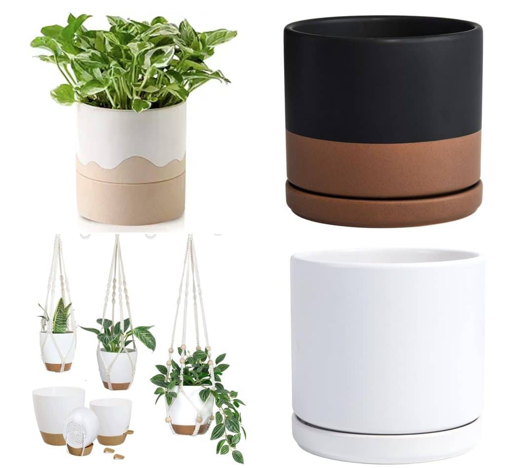 pots for pink plants: white decor ceramic pot, black and brown ceramic pot, white hanging pot, and beige colored self watering pot for pink houseplants