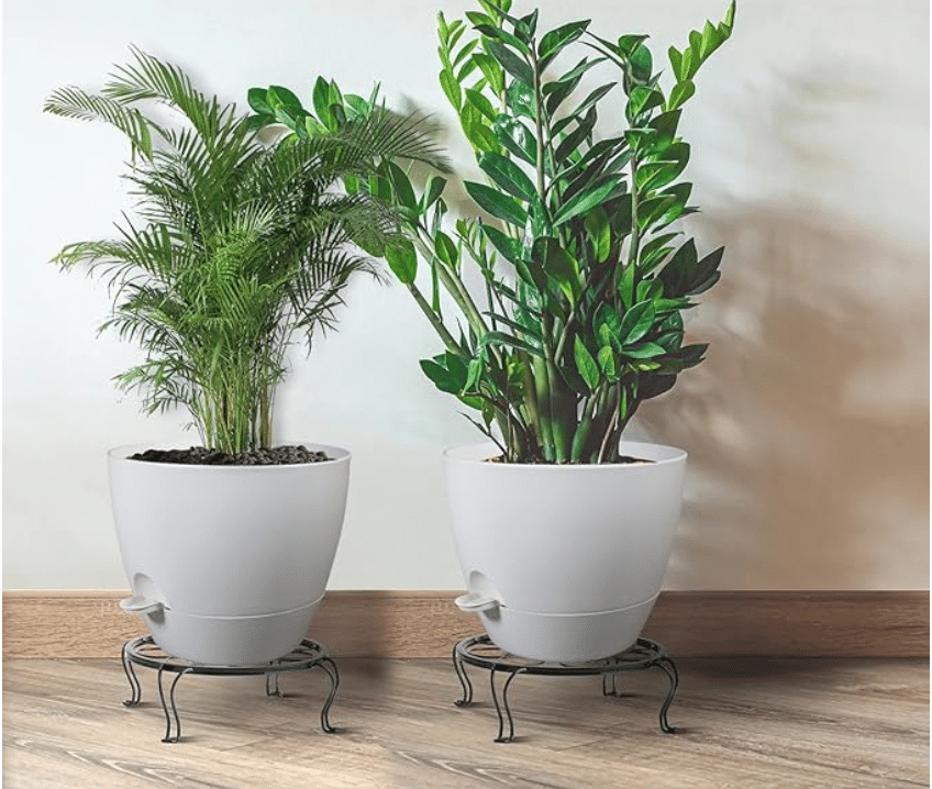 perry mason case of the potted planter Cole & Mason Burwell Self-Watering Single Potted Herb Keeper main image 0