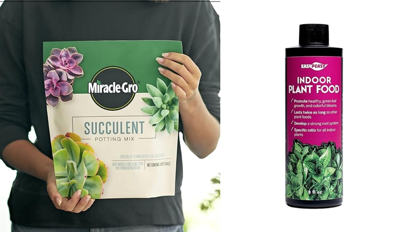 soil and fertilizer for pink plants: Miracle gro and high phosphorus liquid fertilizer