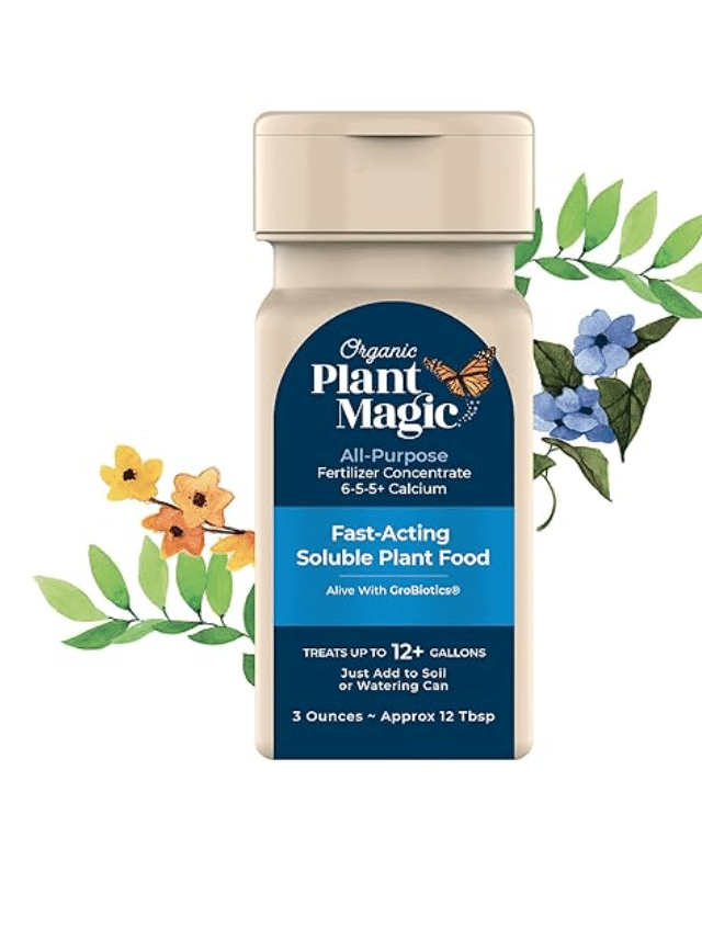 best house plant fertilizer Plant Fertilizer - Grow Seeds - Vegetable Seeds - All Natural main image 0