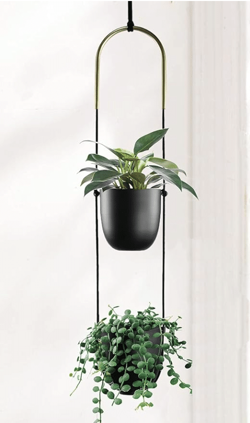 wood plant stands indoor Indoor 6 Tier Wooden Plant Home Decor Stand  Wild City Plants