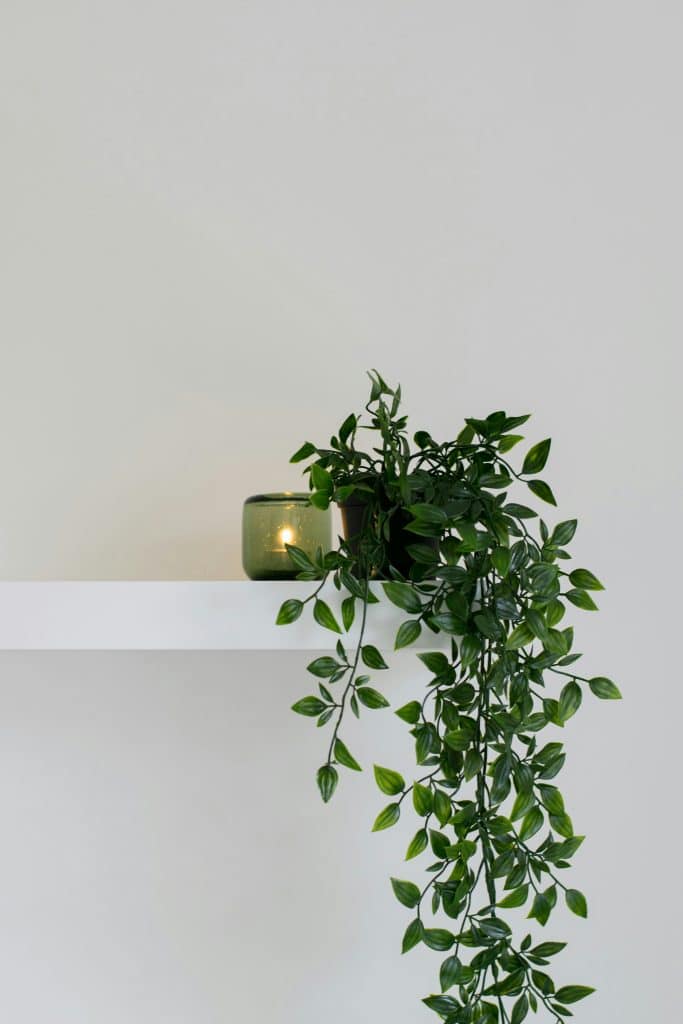 indoor plant stands tall 6 Tier Wood Plant Stand Vertical CaMulti-Tier Wood Plant Stand with Wheels  | Large Indoor Plant Shelf for Living Room Corner & Balcony | Tall  Modern Flower Pot Holder Organizer Display Rack main image 0