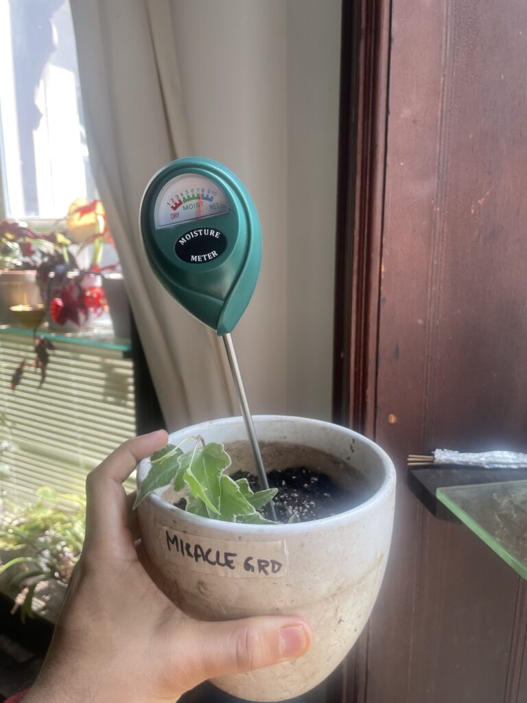 Miracle gro day 1 moisture reading of 7