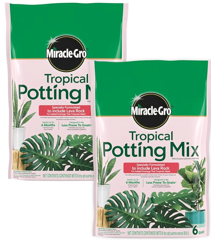 Best Soil and Fertilizer for Pink Princess Philodendron - Houseplants Nook