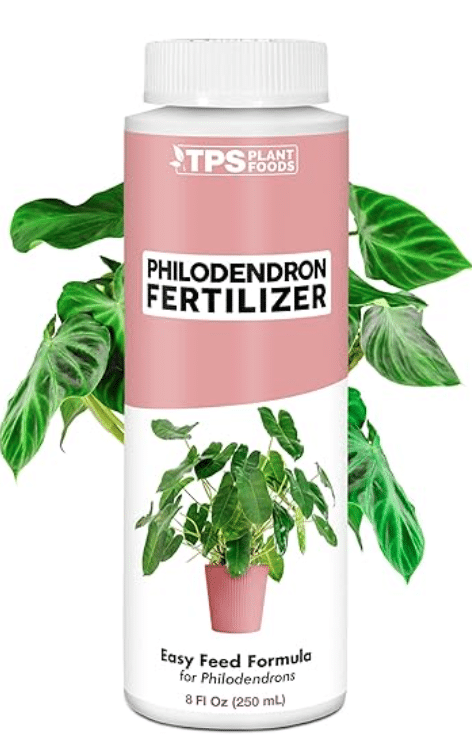 Best Soil and Fertilizer for Pink Princess Philodendron - Houseplants Nook