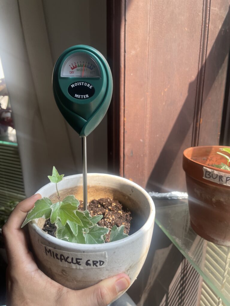 Miracle gro day 3 moisture reading of 6