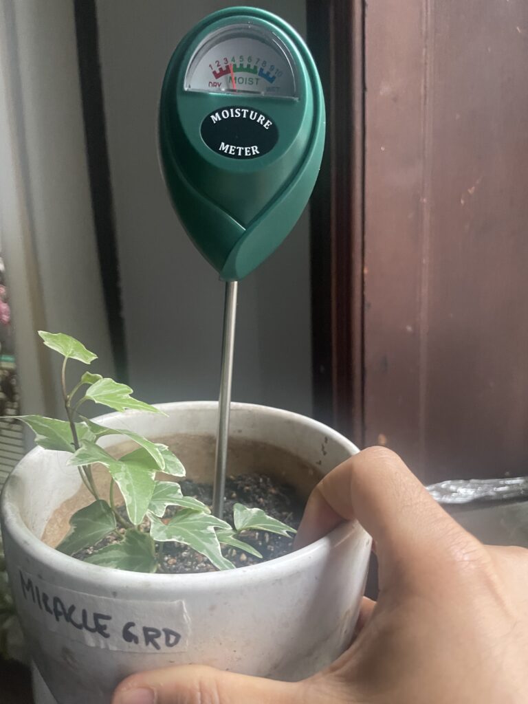 Miracle gro day 7 moisture reading of 3
