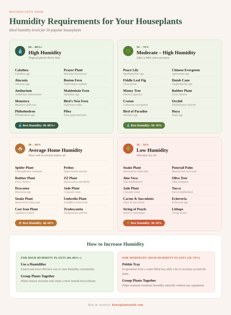 Humidity chart for 50 popular houseplants - Houseplants Nook